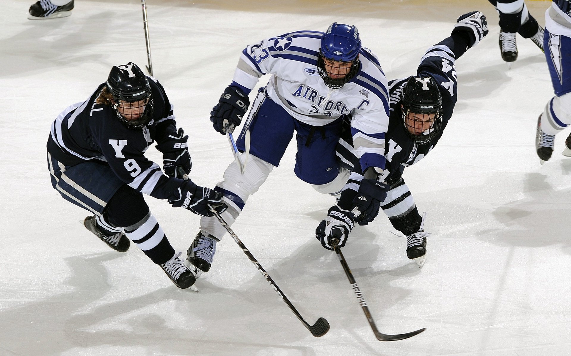 体育新闻中心落选遗憾盘点,体育新闻报道