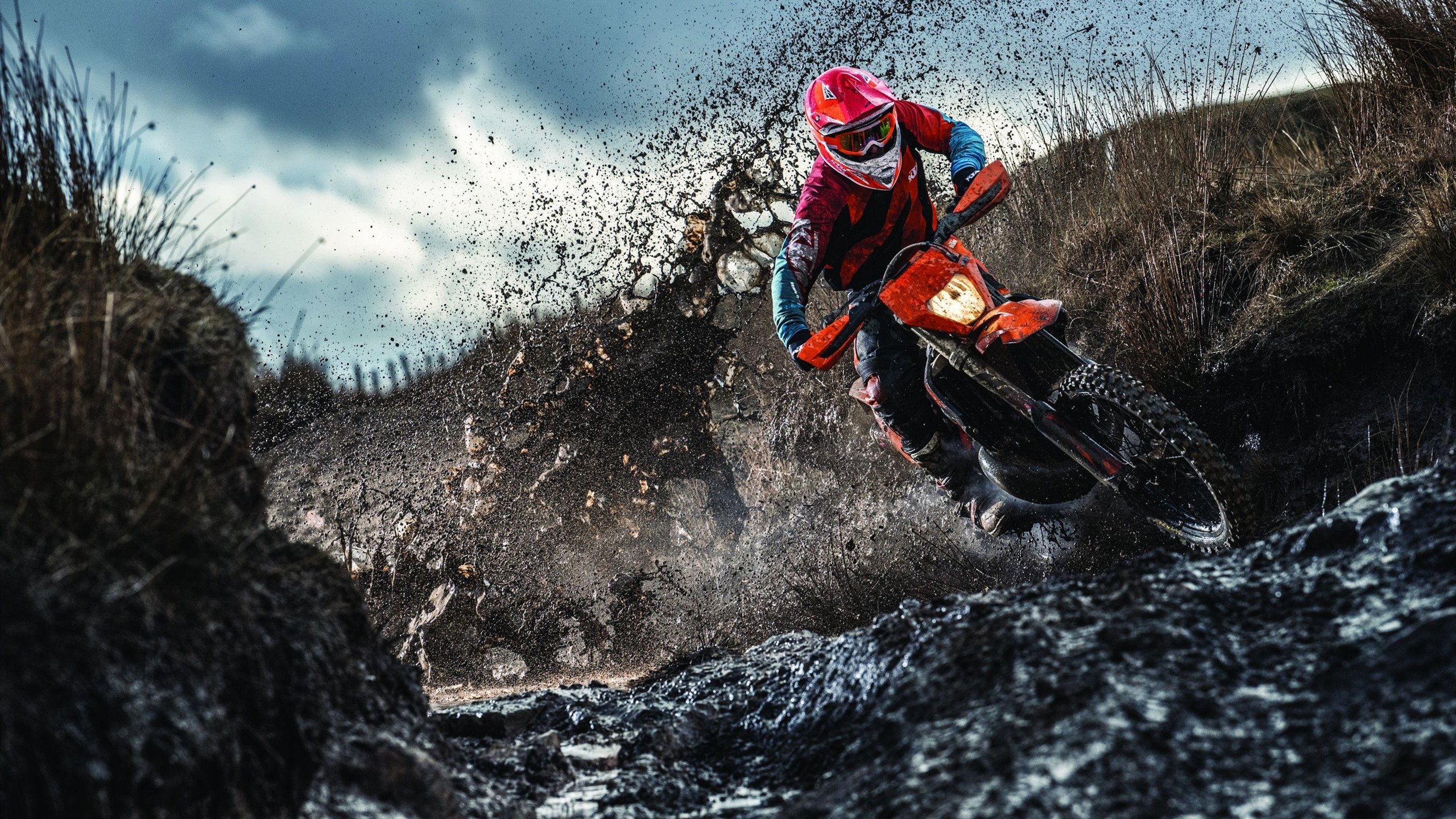 跳水动作流畅韩国实力显现，韩国跳水2021